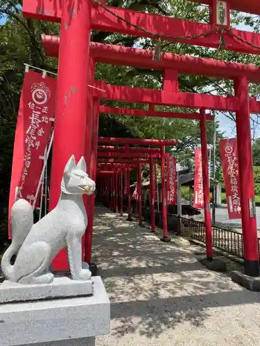 金井神社の狛犬