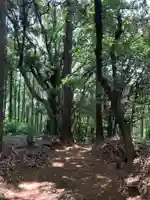 稲荷神社(千葉県)