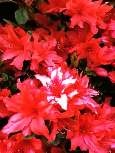 神足寺(東京都)