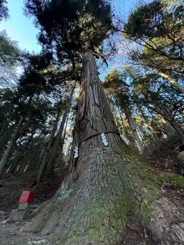 志和稲荷神社(岩手県)
