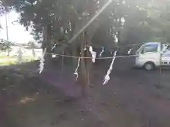 桜町二宮神社の建物その他