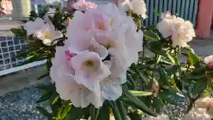 津観音(三重県)(2023年04月14日(金) 22時35分05秒投稿)