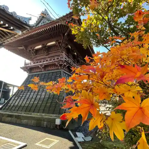 徳願寺のその他建物