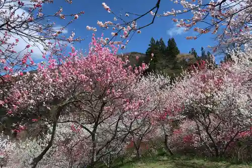 東円寺(岐阜県)