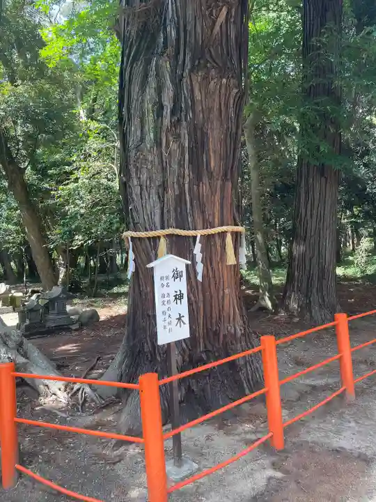 息栖神社(茨城県)
