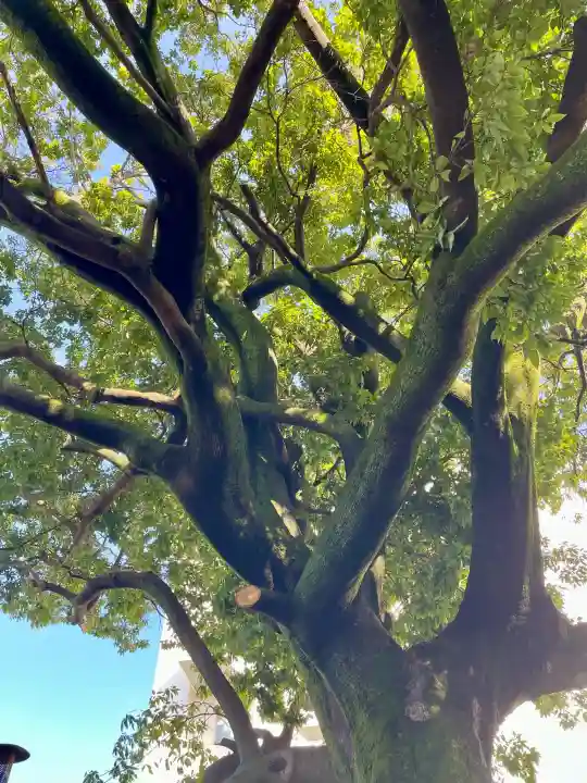 仙寿院の{uncategorized: "未分類", other: "その他", undefined: "問題あり", building: "その他建物", grave: "お墓", sacred_gate: "鳥居", guardian: "狛犬", statue: "像", buddha: "仏像", history: "歴史", nature: "自然", garden: "庭園", animal: "動物", pagoda: "塔", temizu: "手水舎", mountain_gate: "山門・神門", sanctuary: "本殿・本堂", subordinate: "末社・摂社", art: "芸術", scenery: "景色", jizo: "地蔵", ema: "絵馬", goshuin: "御朱印", omikuji: "おみくじ", items: "授与品その他", amulet: "お守り", goshuincho: "御朱印帳", eats: "食事", festival: "お祭り", votive_dance: "神楽", shichigosan: "七五三参", wedding: "結婚式", experience: "体験その他", initially: "初詣", around: "周辺", anti_infection: "感染症対策"}
