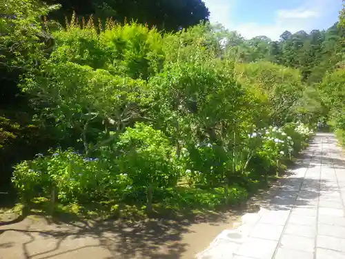 東慶寺の庭園