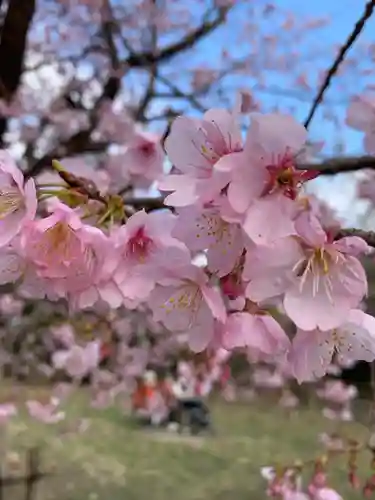 氷川女體神社の自然