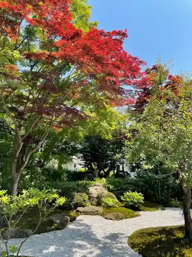 浄妙寺の庭園