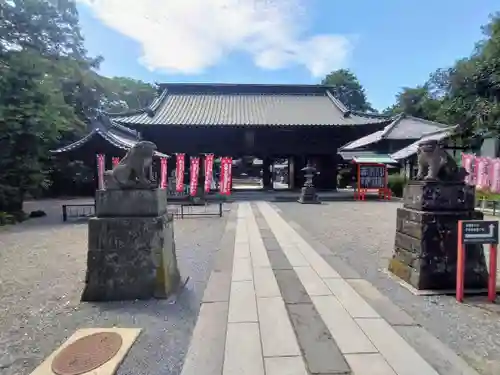 妻沼聖天山歓喜院の狛犬