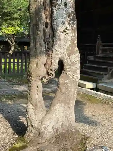上杉神社(山形県)