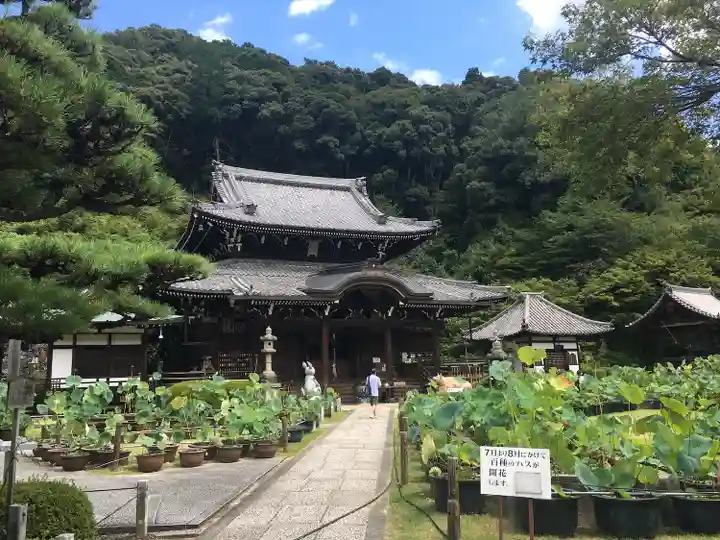 三室戸寺の本殿・本堂