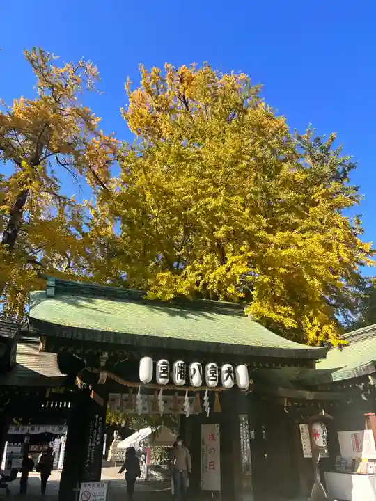 大宮八幡宮の山門・神門