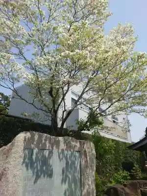 西善院(神奈川県)