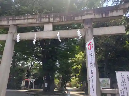 鳩森八幡神社の鳥居