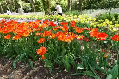 半木神社（賀茂別雷神社境外末社）(京都府)