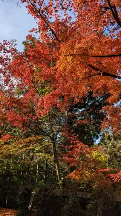 来迎院(京都府)