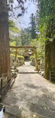 石鉄寺の{uncategorized: "未分類", other: "その他", undefined: "問題あり", building: "その他建物", grave: "お墓", sacred_gate: "鳥居", guardian: "狛犬", statue: "像", buddha: "仏像", history: "歴史", nature: "自然", garden: "庭園", animal: "動物", pagoda: "塔", temizu: "手水舎", mountain_gate: "山門・神門", sanctuary: "本殿・本堂", subordinate: "末社・摂社", art: "芸術", scenery: "景色", jizo: "地蔵", ema: "絵馬", goshuin: "御朱印", omikuji: "おみくじ", items: "授与品その他", amulet: "お守り", goshuincho: "御朱印帳", eats: "食事", festival: "お祭り", votive_dance: "神楽", shichigosan: "七五三参", wedding: "結婚式", experience: "体験その他", initially: "初詣", around: "周辺", anti_infection: "感染症対策"}