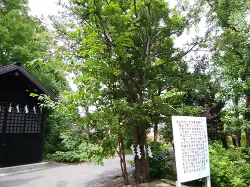 比布神社の歴史