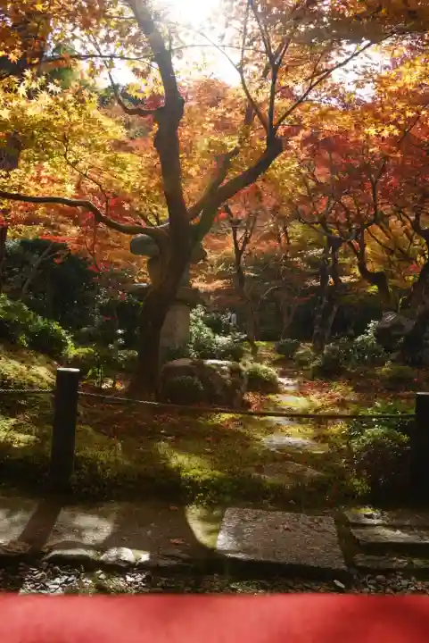 圓光寺(京都府)