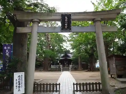 亀岡八幡宮（亀岡八幡神社）の鳥居