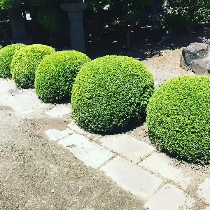 本妙寺のその他建物