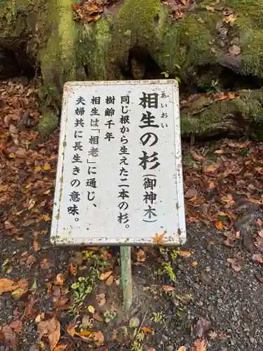 貴船神社奥宮(京都府)