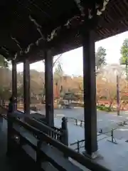 禅林寺（永観堂）の庭園