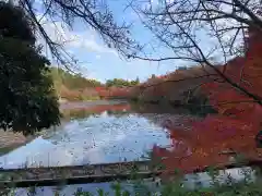 龍安寺の景色