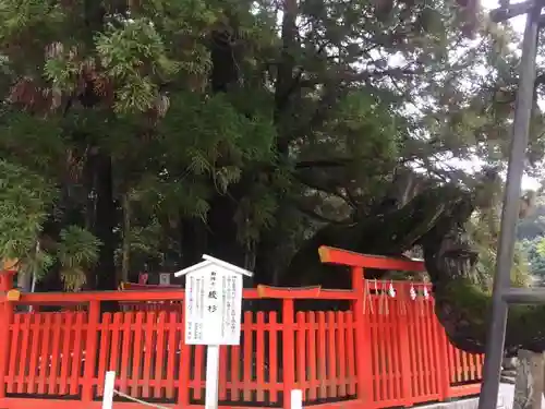 香椎宮の建物その他