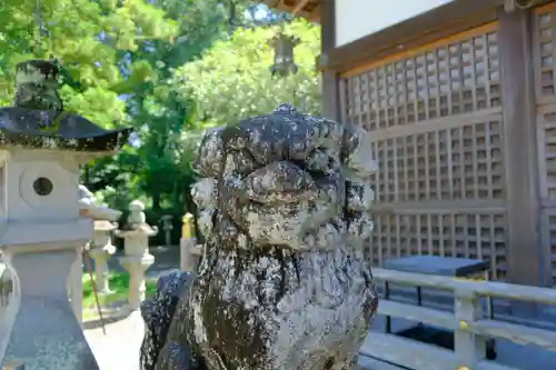 闘鶏神社の狛犬