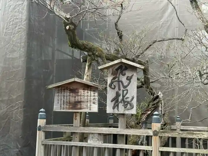 太宰府天満宮の{uncategorized: "未分類", other: "その他", undefined: "問題あり", building: "その他建物", grave: "お墓", sacred_gate: "鳥居", guardian: "狛犬", statue: "像", buddha: "仏像", history: "歴史", nature: "自然", garden: "庭園", animal: "動物", pagoda: "塔", temizu: "手水舎", mountain_gate: "山門・神門", sanctuary: "本殿・本堂", subordinate: "末社・摂社", art: "芸術", scenery: "景色", jizo: "地蔵", ema: "絵馬", goshuin: "御朱印", omikuji: "おみくじ", items: "授与品その他", amulet: "お守り", goshuincho: "御朱印帳", eats: "食事", festival: "お祭り", votive_dance: "神楽", shichigosan: "七五三参", wedding: "結婚式", experience: "体験その他", initially: "初詣", around: "周辺", anti_infection: "感染症対策"}