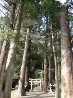 島大国魂御子神社の自然