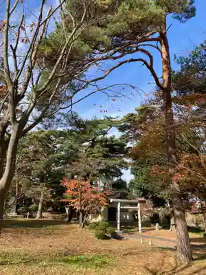 宇倍神社の自然