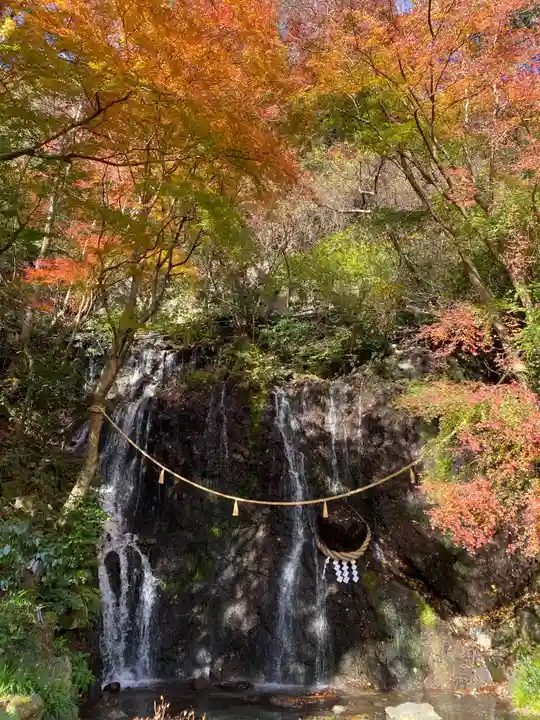 玉簾神社の自然