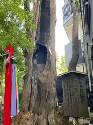 東神奈川熊野神社(神奈川県)