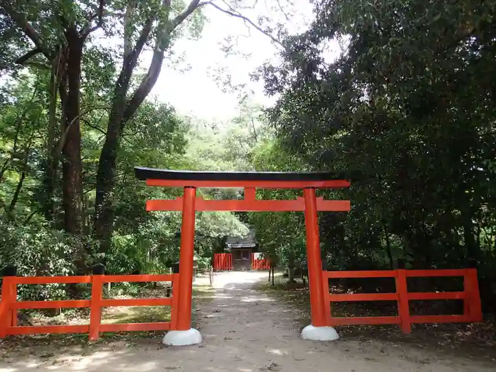 半木神社(賀茂別雷神社境外末社)の鳥居