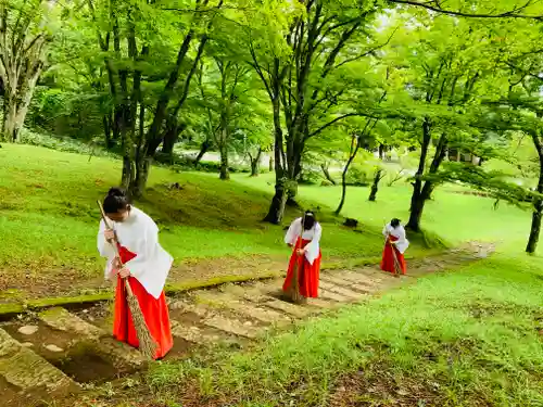 土津神社｜こどもと出世の神さまの体験その他