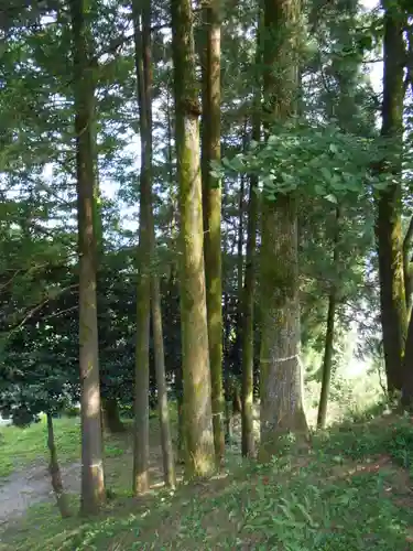 世貫神社(鹿児島県)