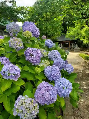 開成山大神宮(福島県)