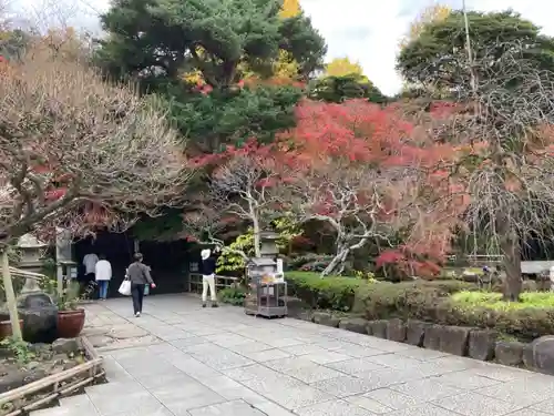 長谷寺(神奈川県)