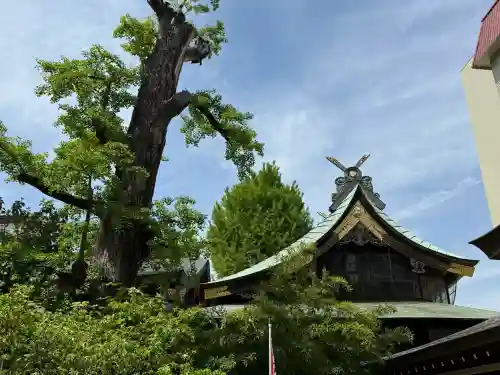 素盞雄神社の{uncategorized: "未分類", other: "その他", undefined: "問題あり", building: "その他建物", grave: "お墓", sacred_gate: "鳥居", guardian: "狛犬", statue: "像", buddha: "仏像", history: "歴史", nature: "自然", garden: "庭園", animal: "動物", pagoda: "塔", temizu: "手水舎", mountain_gate: "山門・神門", sanctuary: "本殿・本堂", subordinate: "末社・摂社", art: "芸術", scenery: "景色", jizo: "地蔵", ema: "絵馬", goshuin: "御朱印", omikuji: "おみくじ", items: "授与品その他", amulet: "お守り", goshuincho: "御朱印帳", eats: "食事", festival: "お祭り", votive_dance: "神楽", shichigosan: "七五三参", wedding: "結婚式", experience: "体験その他", initially: "初詣", around: "周辺", anti_infection: "感染症対策"}