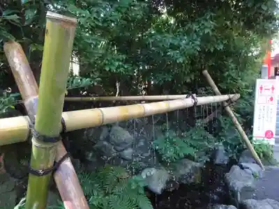 白笹稲荷神社の手水舎