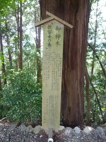 松尾神社(三重県)