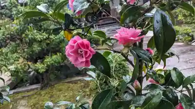 正法寺(京都府)