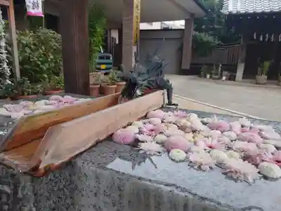 川越八幡宮(埼玉県)
