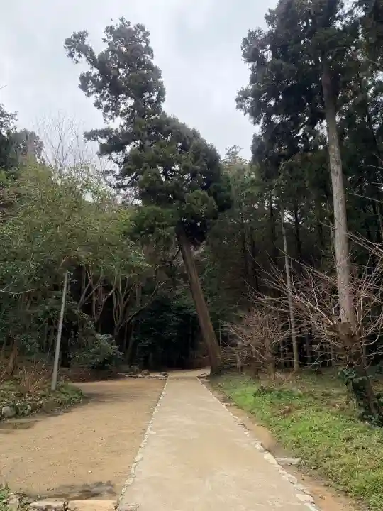 桜井大神宮の{uncategorized: "未分類", other: "その他", undefined: "問題あり", building: "その他建物", grave: "お墓", sacred_gate: "鳥居", guardian: "狛犬", statue: "像", buddha: "仏像", history: "歴史", nature: "自然", garden: "庭園", animal: "動物", pagoda: "塔", temizu: "手水舎", mountain_gate: "山門・神門", sanctuary: "本殿・本堂", subordinate: "末社・摂社", art: "芸術", scenery: "景色", jizo: "地蔵", ema: "絵馬", goshuin: "御朱印", omikuji: "おみくじ", items: "授与品その他", amulet: "お守り", goshuincho: "御朱印帳", eats: "食事", festival: "お祭り", votive_dance: "神楽", shichigosan: "七五三参", wedding: "結婚式", experience: "体験その他", initially: "初詣", around: "周辺", anti_infection: "感染症対策"}