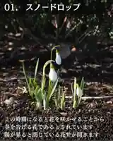 宝光寺(北海道)