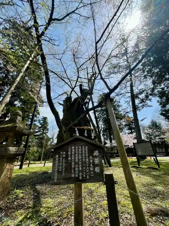 蠶養國神社(福島県)