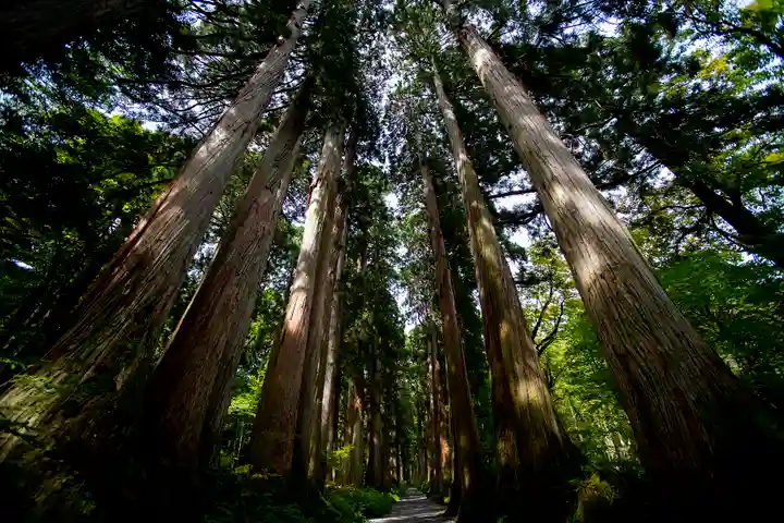 戸隠神社奥社(長野県)